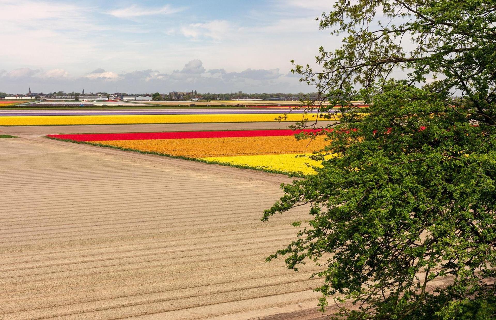 Bed And Breakfast Ineke En John Hoofddorp Bagian luar foto