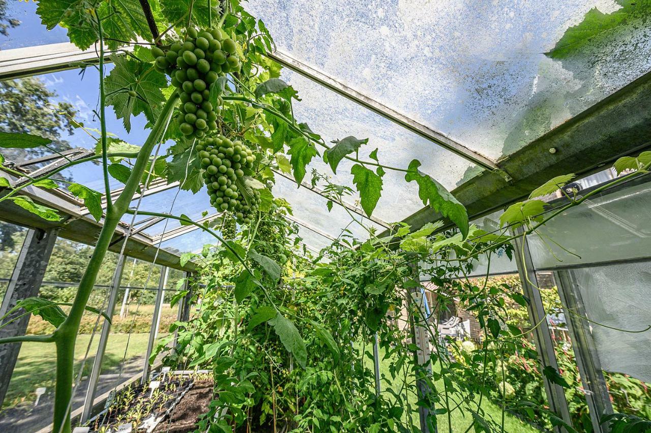 Bed And Breakfast Ineke En John Hoofddorp Bagian luar foto